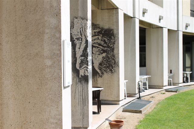 Portrait_sur_2_poteaux_par_VHILS_-_19-06-12